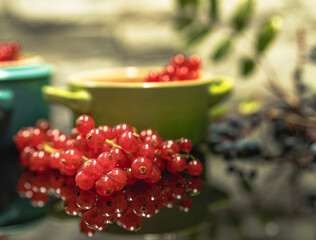 Dessert creme brylee with raspberries, unusual background. Home and restaurant food.