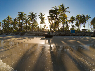 Ilheus Bahia Brazil. Palm trees casting shadows on sandy beach