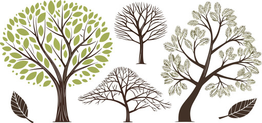 Stylized Tree Illustrations with Leaves and Branches on transparent background