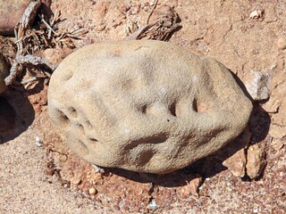 Kartoffelförmiger Stein an der Algarve