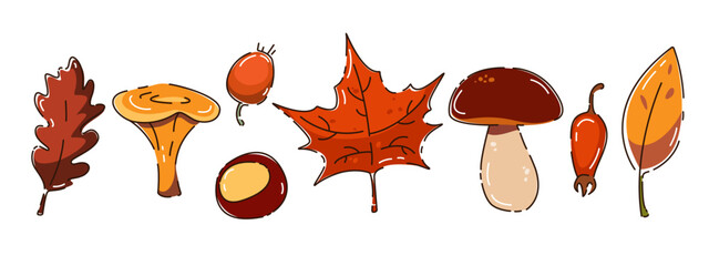 Set of autumn elements. Autumn leaves, mushrooms, berries, acorn. Autumn design elements. Hello, autumn. Vector illustration.