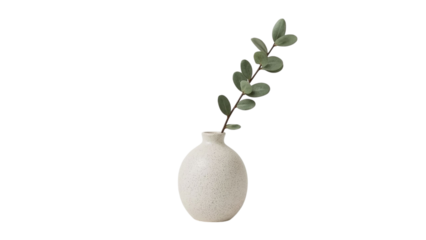 A minimalist white vase with a single green eucalyptus branch, showcasing a serene and modern decor style.