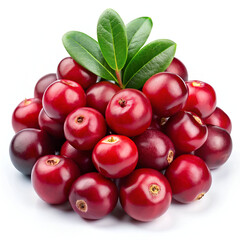 A pile of fresh red cranberries with leaves, isolated on a white background