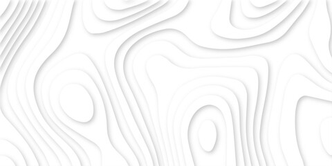 Abstract white and light gray overlapping paper cutouts background with layered design resembling a topographic map and natural landscapes or artistic paper art techniques, with no distinct objects.