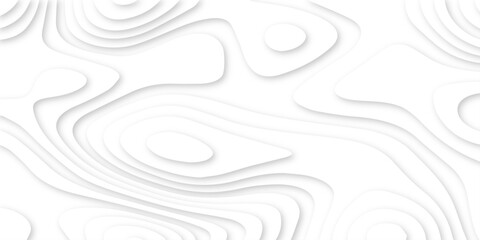 Abstract white and light gray overlapping paper cutouts background with layered design resembling a topographic map and natural landscapes or artistic paper art techniques, with no distinct objects.