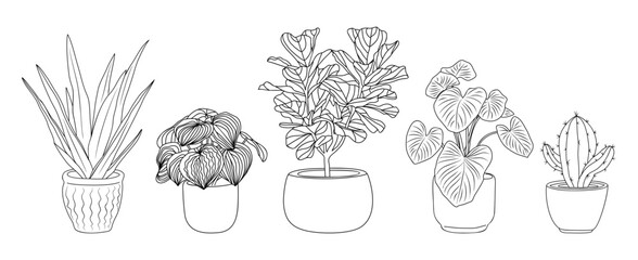 Set of Houseplants outline drawings. Indoor exotic flowers in pots line art. Ficus, cactus, alocasia plant for home interior plans, design. Vector illustrations isolated	
