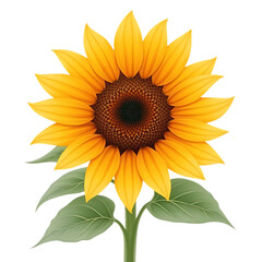 Fototapeta premium A beautiful illustration of a single blooming sunflower with vibrant yellow petals and green leaves, isolated on a white background.