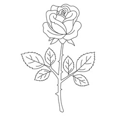 morning glory flower coloring page printable