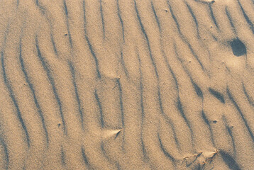 Patterns of sand shaped by wind at a beach in the late afternoon sun, highlighting nature's intricate designs in the coastal environment