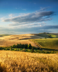 Fototapeta premium Countryside panorama in Tuscany, rolling hills and wheat fields at sunset. Santa Luce.