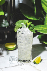 cold and refreshing cocktail featuring dry gin, mint, and ginger ale, with ice in an elegant glass surrounded by lush greenery