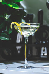 Refreshing martini cocktail served in a stylish glass garnished with a twist of lemon in a vibrant lounge setting