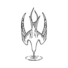 predator bird drawing