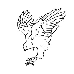 predator bird drawing