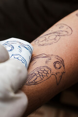 Close-up of bird skull stencil ink outline freshly transferred onto forearm skin, completing tattoo preparation stage with other designs visible.