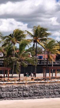 COQUEIRO COM VISTA PARA O MAR A NATUREZA &Eacute; MUITO LINDA EM JO&Atilde;O PESSOA (COCONUT TREE WITH A VIEW TO THE SEA, NATURE IS VERY BEAUTIFUL IN JO&Atilde;O PESSOA)