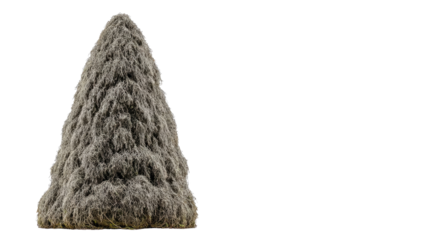 Detailed Close-Up of a Conical Natural Structure Covered in Dark Green and Brown Organic Material