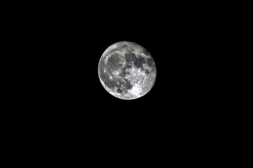 Big beautiful full pale moon with craters in the night black sky	
