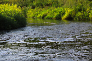 Serene Flowing River Amidst Lush Green Grass on a Calm Day