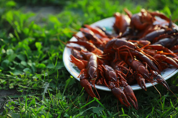 Freshly Cooked Crawfish on a Plate Outdoors Amidst Green Grass - Rustic Seafood Theme
