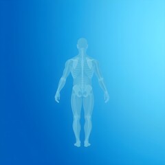 블루 그라데이션 배경에 인간 해부 투시도 A human anatomy perspective view on a blue gradient background