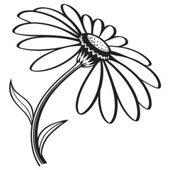 Stylized black and white daisy flower icon