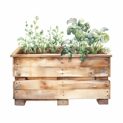Fototapeta premium Wooden box with growing greenery, watercolor illustration, hand drawn isolated, for houseplant, farm, garden and harvest design.