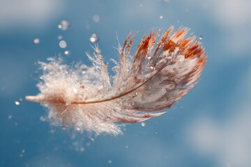 A feather floats, speckled with water droplets, against a soft blue sky