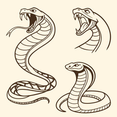 Stylized cobras striking aggressive poses snake reptile