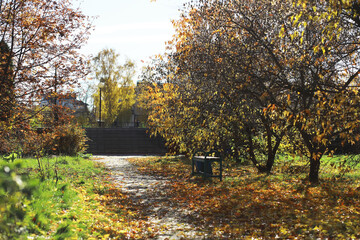 Autumn Pathway in a Tranquil Park with Colorful Fall Foliage