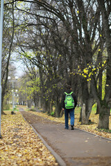 Obraz premium Child Walking Alone in Autumn Park With Green Backpack, Fallen Leaves on Path