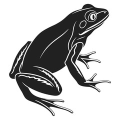 Black frog silhouette amphibian white