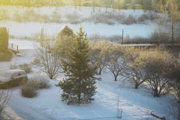 Morning Sunlight Over Snow-Covered Park in Winter