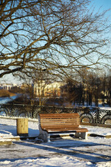 Winter Park Scene with Wooden Bench and Trash Can Under Bare Tree in Urban Setting