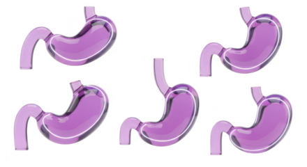3D rendered stomachs showcasing different angles with white outlines isolated on a white background perfect for medical or educational use