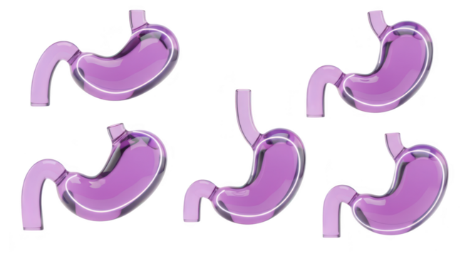 3D rendered stomachs showcasing different angles with white outlines isolated on a white background perfect for medical or educational use