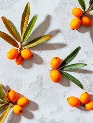 orange sea buckthorn berries and leaves on white textured background, minimalist style.