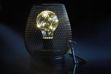 Illuminated Light Bulb in Metallic Cage With Antique Key on Dark Background