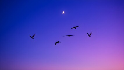 Flock of Birds Against Blue Purple Dusk