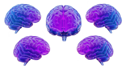 3D render of five stylized glowing human brains in various angles isolated on white background for medical educational or scientific use