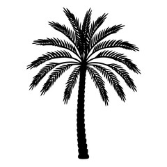 Minimalist Iconic Isolated Date Palm