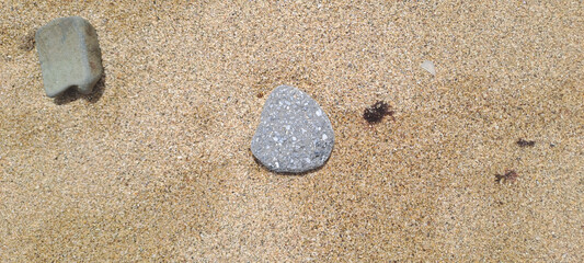 Pebbles and sand with tiny ants on beach