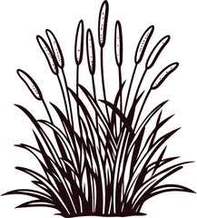 Silhouette illustration of bulrush reeds with elongated stems and leaves isolated on white background