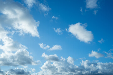 Obraz premium 夏空