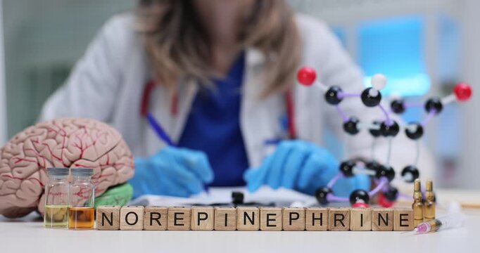 Female doctor takes notes near Norepinephrine on blocks at brain model and molecular model on desk. Study and analysis of significant neurotransmitter