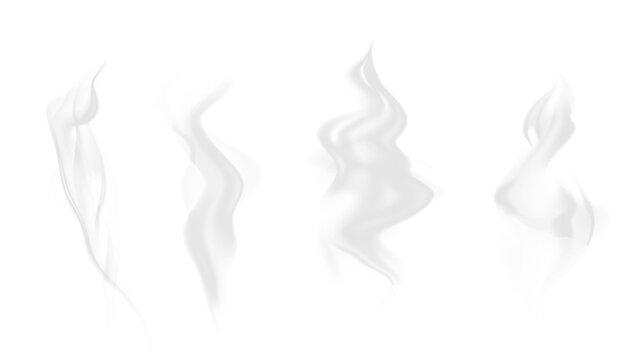 Naklejki Realistic steam or smoke on hot tea, coffee, food. PNG Stock royalty free. 