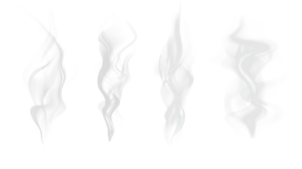 Selbstklebende Fototapeten Rauch Realistic steam or smoke on hot tea, coffee, food. PNG Stock royalty free.   © Vector light Studio