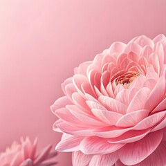pink flower background