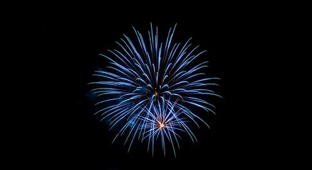 Obraz premium A single blue firework explodes in the night