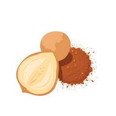 Whole nutmeg and ground powder on transparent  background  